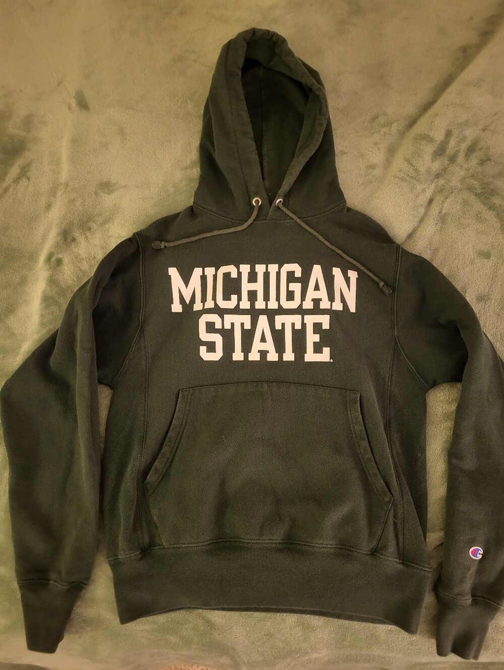 Michigan State Champion Reverse Weave Hoodie - Small - VGUC